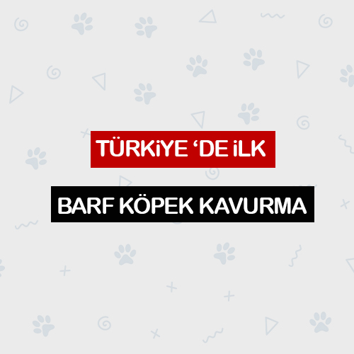 KÖPEK KAVURMA BARF