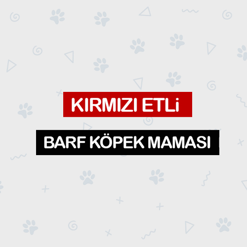 KÖPEK BARF
