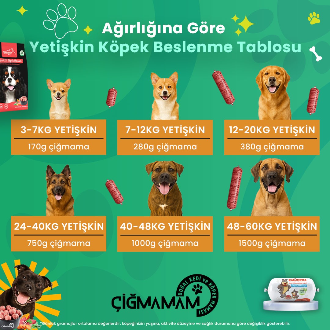 Kırmızı Etli Tahılsız Çiğmamam Barf Köpek Maması 20 Kg. (40x500 Gr) – Doğal & Katkısız