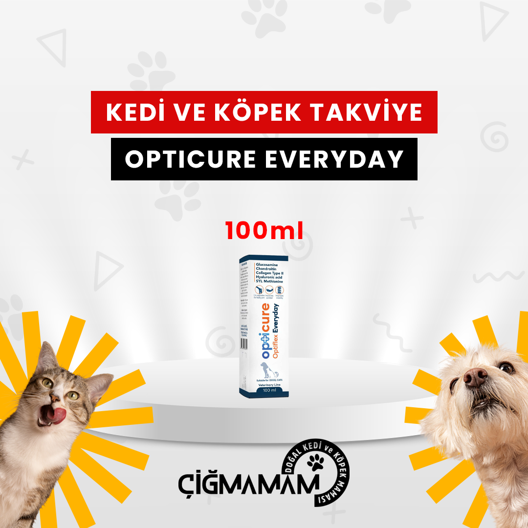 Opticure OptiFlex EveryDay 100 ml Glukozaminli Eklem Desteği